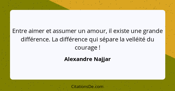 Entre aimer et assumer un amour, il existe une grande différence. La différence qui sépare la velléité du courage !... - Alexandre Najjar