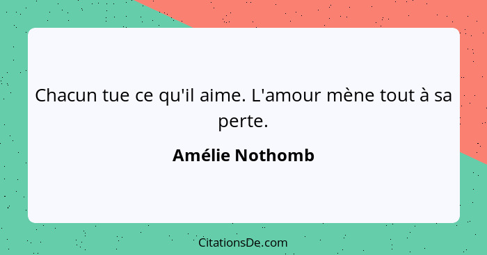 Chacun tue ce qu'il aime. L'amour mène tout à sa perte.... - Amélie Nothomb