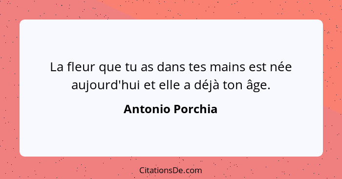 La fleur que tu as dans tes mains est née aujourd'hui et elle a déjà ton âge.... - Antonio Porchia