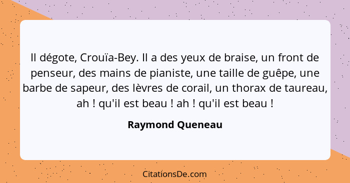 Il dégote, Crouïa-Bey. Il a des yeux de braise, un front de penseur, des mains de pianiste, une taille de guêpe, une barbe de sapeur... - Raymond Queneau