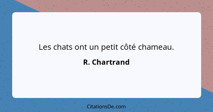 Les chats ont un petit côté chameau.... - R. Chartrand