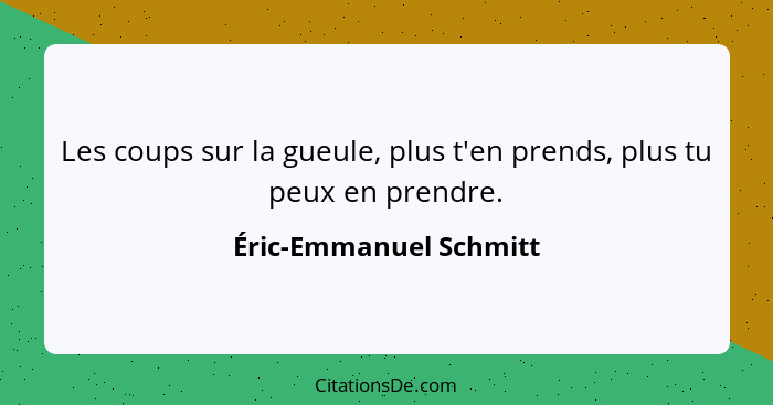 Les coups sur la gueule, plus t'en prends, plus tu peux en prendre.... - Éric-Emmanuel Schmitt