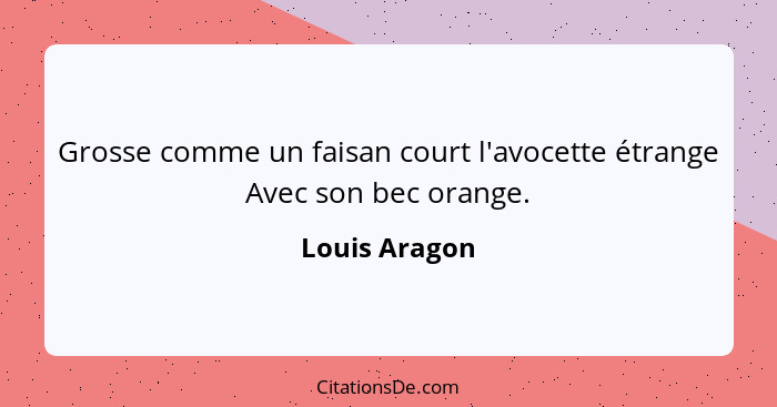 Grosse comme un faisan court l'avocette étrange Avec son bec orange.... - Louis Aragon