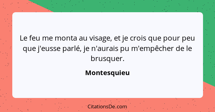 Le feu me monta au visage, et je crois que pour peu que j'eusse parlé, je n'aurais pu m'empêcher de le brusquer.... - Montesquieu