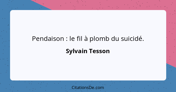 Pendaison : le fil à plomb du suicidé.... - Sylvain Tesson