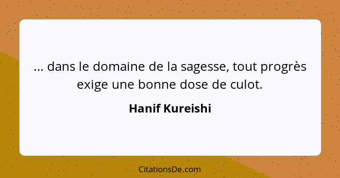 ... dans le domaine de la sagesse, tout progrès exige une bonne dose de culot.... - Hanif Kureishi