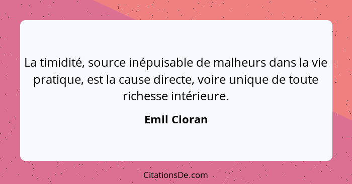 La timidité, source inépuisable de malheurs dans la vie pratique, est la cause directe, voire unique de toute richesse intérieure.... - Emil Cioran
