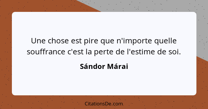 Une chose est pire que n'importe quelle souffrance c'est la perte de l'estime de soi.... - Sándor Márai