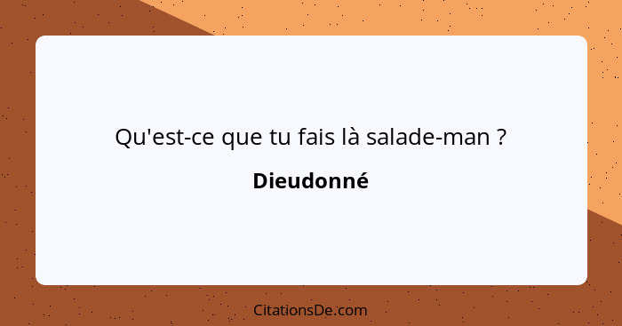 Qu'est-ce que tu fais là salade-man ?... - Dieudonné