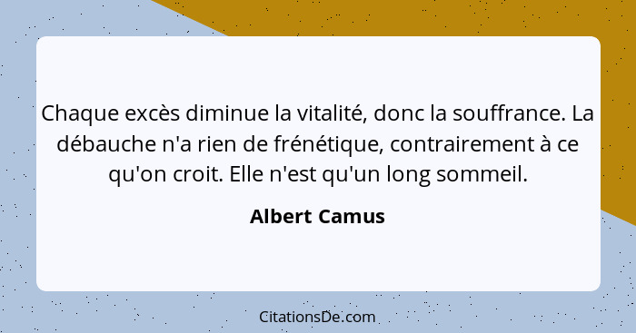 Chaque excès diminue la vitalité, donc la souffrance. La débauche n'a rien de frénétique, contrairement à ce qu'on croit. Elle n'est qu... - Albert Camus