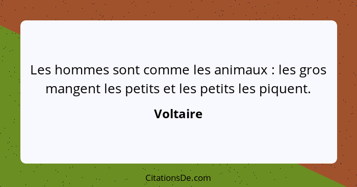 Les hommes sont comme les animaux : les gros mangent les petits et les petits les piquent.... - Voltaire