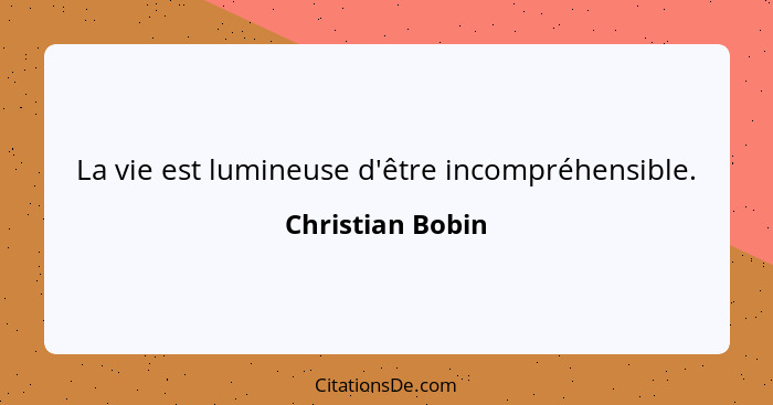 La vie est lumineuse d'être incompréhensible.... - Christian Bobin