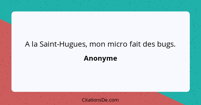 A la Saint-Hugues, mon micro fait des bugs.... - Anonyme
