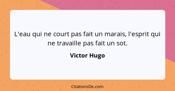 L'eau qui ne court pas fait un marais, l'esprit qui ne travaille pas fait un sot.... - Victor Hugo