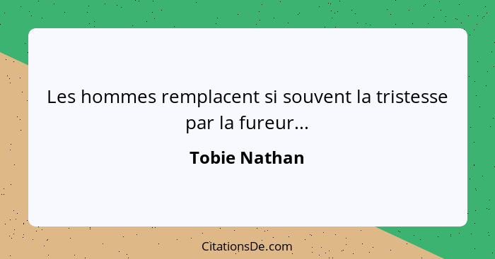 Les hommes remplacent si souvent la tristesse par la fureur...... - Tobie Nathan