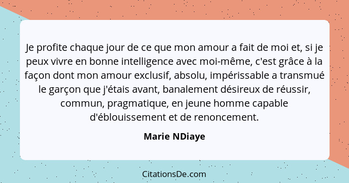 Je profite chaque jour de ce que mon amour a fait de moi et, si je peux vivre en bonne intelligence avec moi-même, c'est grâce à la faç... - Marie NDiaye