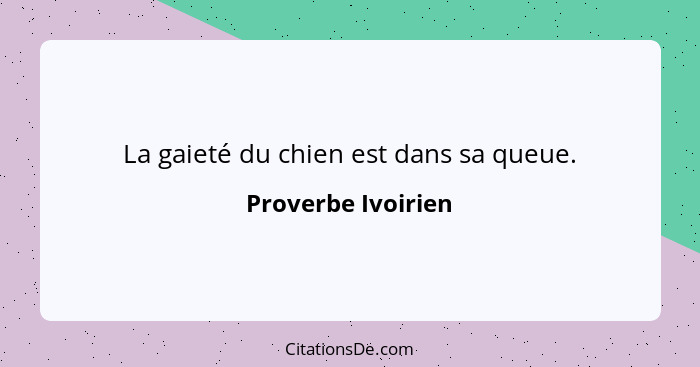 La gaieté du chien est dans sa queue.... - Proverbe Ivoirien