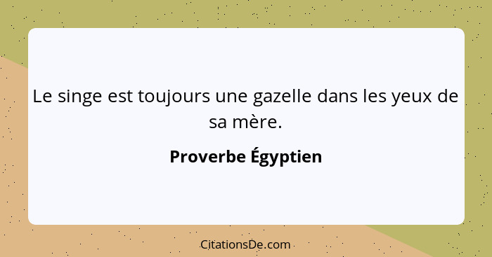 Le singe est toujours une gazelle dans les yeux de sa mère.... - Proverbe Égyptien