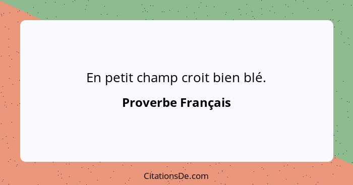 En petit champ croit bien blé.... - Proverbe Français