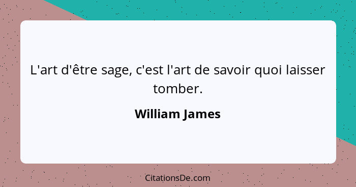 L'art d'être sage, c'est l'art de savoir quoi laisser tomber.... - William James