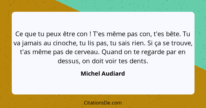 Ce que tu peux être con ! T'es même pas con, t'es bête. Tu va jamais au cinoche, tu lis pas, tu sais rien. Si ça se trouve, t'as... - Michel Audiard