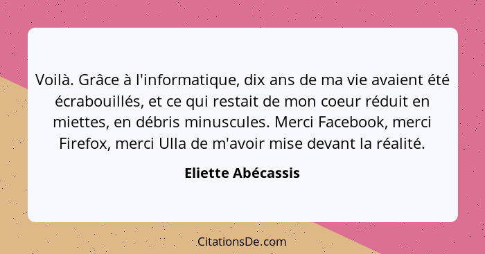 Voilà. Grâce à l'informatique, dix ans de ma vie avaient été écrabouillés, et ce qui restait de mon coeur réduit en miettes, en dé... - Eliette Abécassis