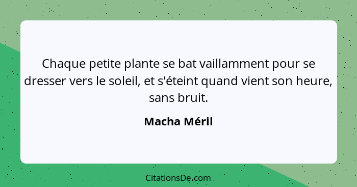 Chaque petite plante se bat vaillamment pour se dresser vers le soleil, et s'éteint quand vient son heure, sans bruit.... - Macha Méril