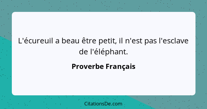 L'écureuil a beau être petit, il n'est pas l'esclave de l'éléphant.... - Proverbe Français