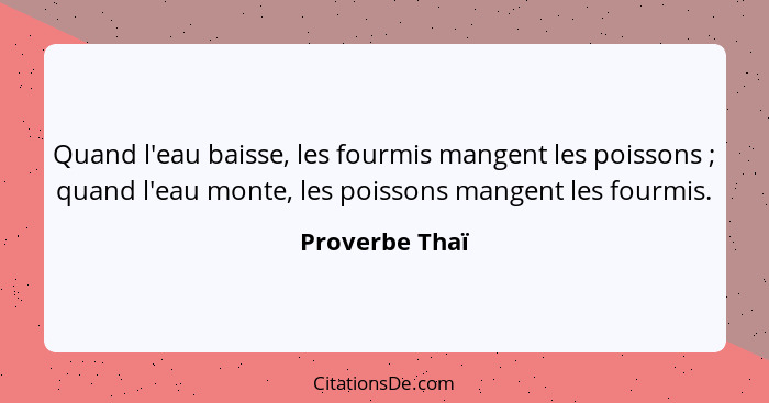 Quand l'eau baisse, les fourmis mangent les poissons ; quand l'eau monte, les poissons mangent les fourmis.... - Proverbe Thaï