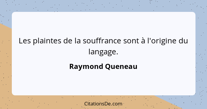 Les plaintes de la souffrance sont à l'origine du langage.... - Raymond Queneau