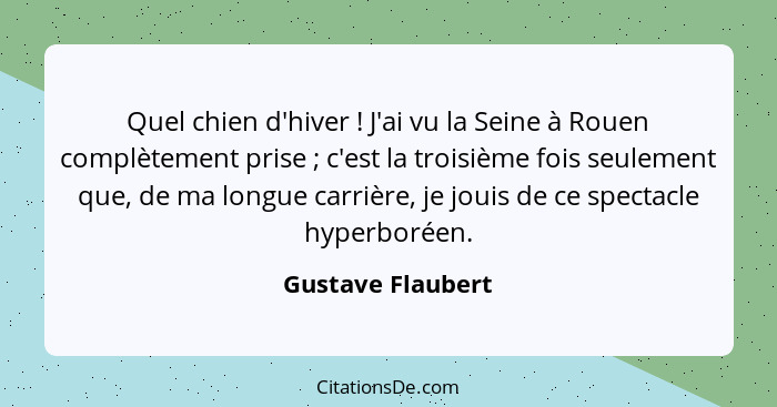 Quel chien d'hiver ! J'ai vu la Seine à Rouen complètement prise ; c'est la troisième fois seulement que, de ma longue ca... - Gustave Flaubert