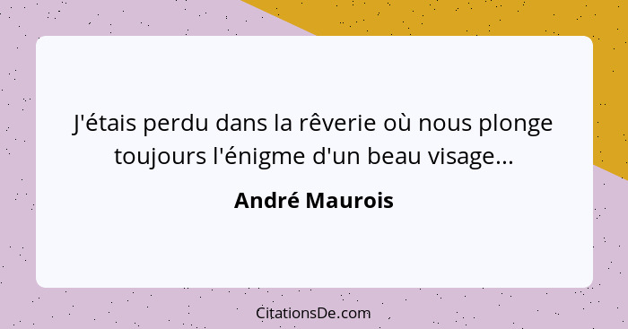 J'étais perdu dans la rêverie où nous plonge toujours l'énigme d'un beau visage...... - André Maurois