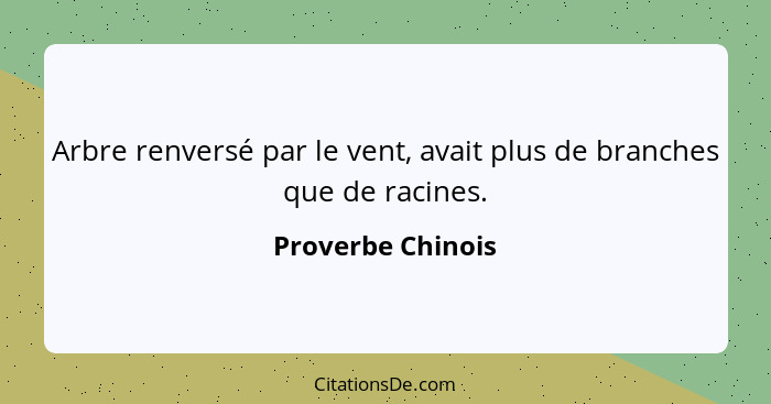 Arbre renversé par le vent, avait plus de branches que de racines.... - Proverbe Chinois