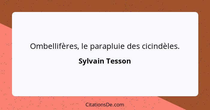 Ombellifères, le parapluie des cicindèles.... - Sylvain Tesson