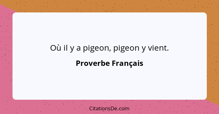 Où il y a pigeon, pigeon y vient.... - Proverbe Français