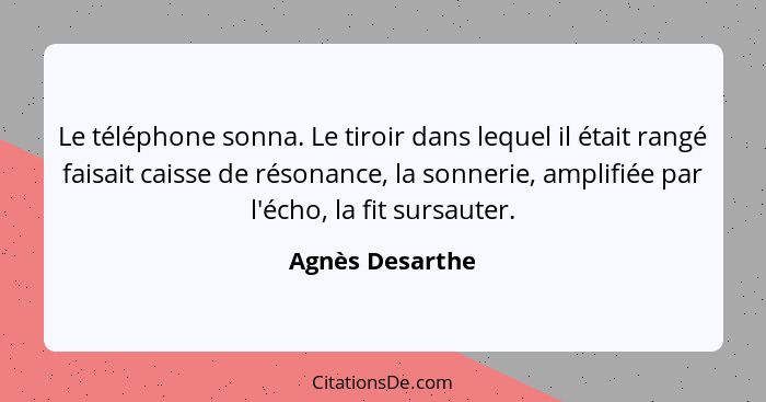 Le téléphone sonna. Le tiroir dans lequel il était rangé faisait caisse de résonance, la sonnerie, amplifiée par l'écho, la fit sursa... - Agnès Desarthe