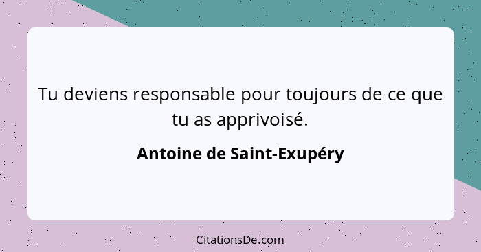 Tu deviens responsable pour toujours de ce que tu as apprivoisé.... - Antoine de Saint-Exupéry