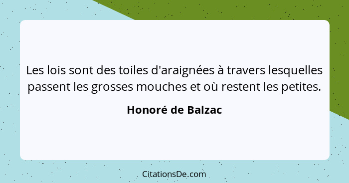 Les lois sont des toiles d'araignées à travers lesquelles passent les grosses mouches et où restent les petites.... - Honoré de Balzac