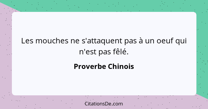 Les mouches ne s'attaquent pas à un oeuf qui n'est pas fêlé.... - Proverbe Chinois