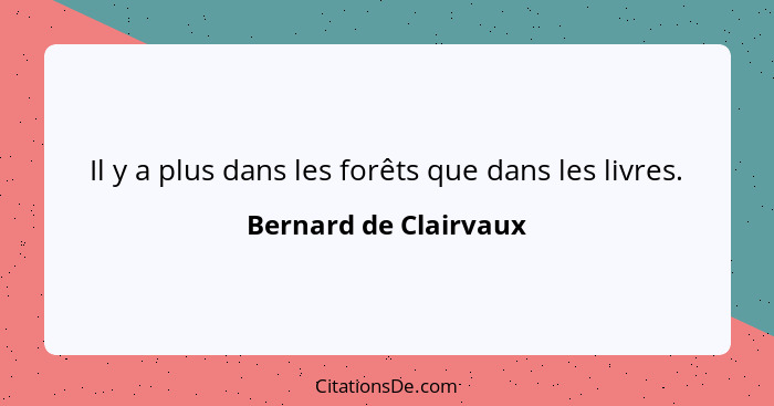 Il y a plus dans les forêts que dans les livres.... - Bernard de Clairvaux