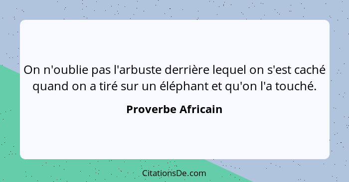 Proverbe Africain Elephant : On n'oublie pas l'arbuste derrière lequel on  s'est caché quand