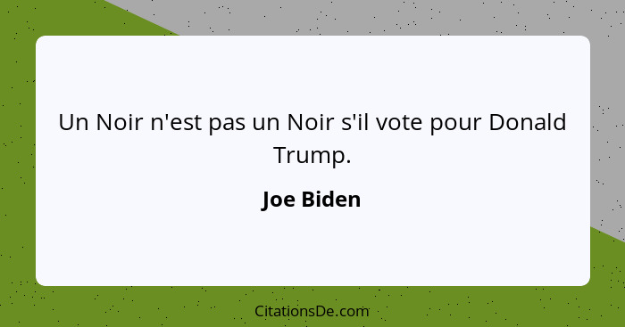 Un Noir n'est pas un Noir s'il vote pour Donald Trump.... - Joe Biden