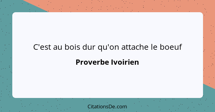 C'est au bois dur qu'on attache le boeuf... - Proverbe Ivoirien