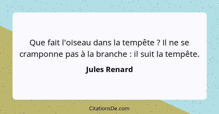 Que fait l'oiseau dans la tempête ? Il ne se cramponne pas à la branche : il suit la tempête.... - Jules Renard