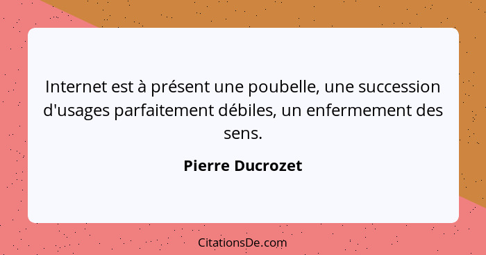 Internet est à présent une poubelle, une succession d'usages parfaitement débiles, un enfermement des sens.... - Pierre Ducrozet