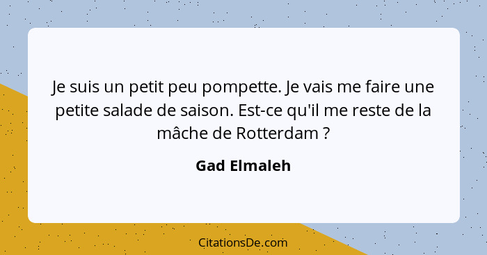 Je suis un petit peu pompette. Je vais me faire une petite salade de saison. Est-ce qu'il me reste de la mâche de Rotterdam ?... - Gad Elmaleh