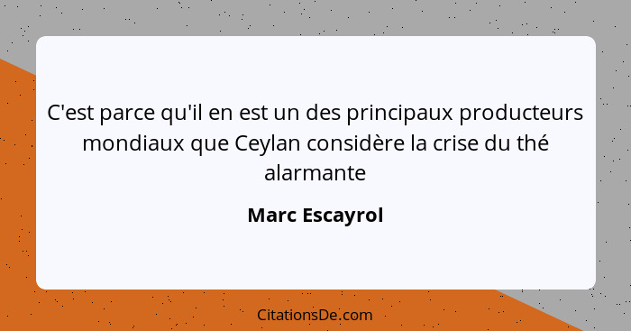 C'est parce qu'il en est un des principaux producteurs mondiaux que Ceylan considère la crise du thé alarmante... - Marc Escayrol