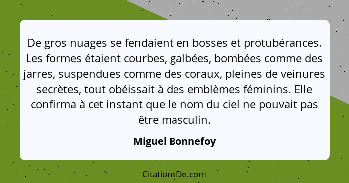 De gros nuages se fendaient en bosses et protubérances. Les formes étaient courbes, galbées, bombées comme des jarres, suspendues co... - Miguel Bonnefoy