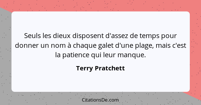 Seuls les dieux disposent d'assez de temps pour donner un nom à chaque galet d'une plage, mais c'est la patience qui leur manque.... - Terry Pratchett