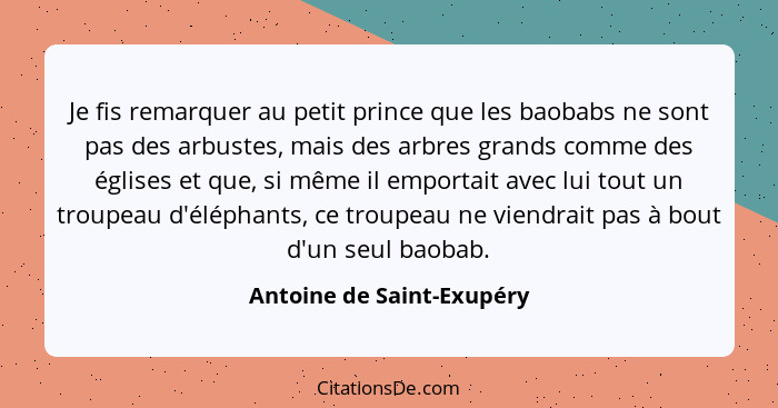 Je fis remarquer au petit prince que les baobabs ne sont pas des arbustes, mais des arbres grands comme des églises et que,... - Antoine de Saint-Exupéry